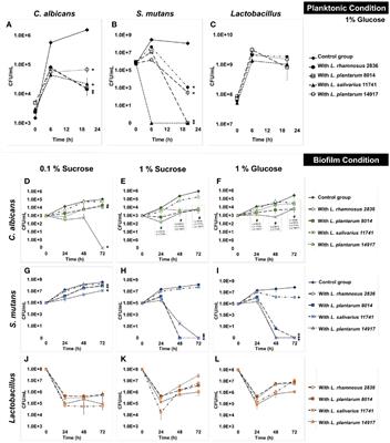 Lactobacillus plantarum Disrupts S. mutans–C. albicans Cross-Kingdom Biofilms